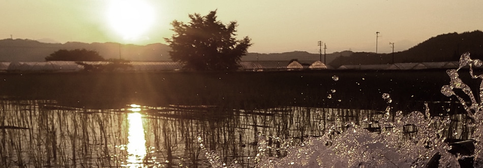 飛騨高山の澄んだ山水