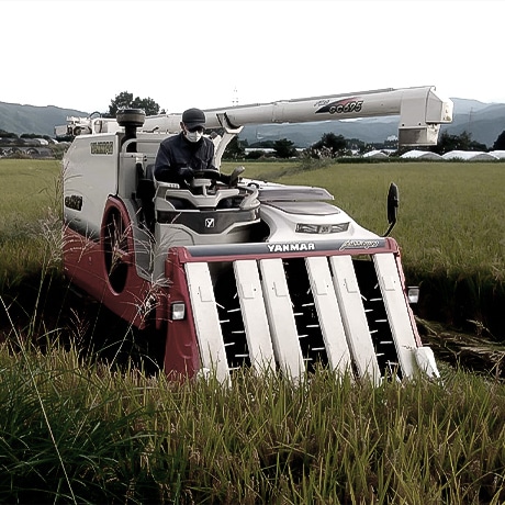 刈り取り・乾燥・脱穀・選別