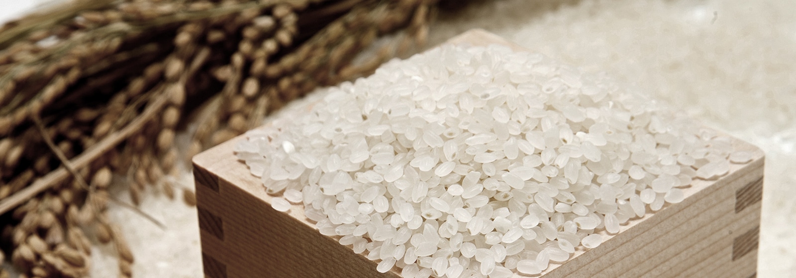 升にいっぱいにお米が入っている画像