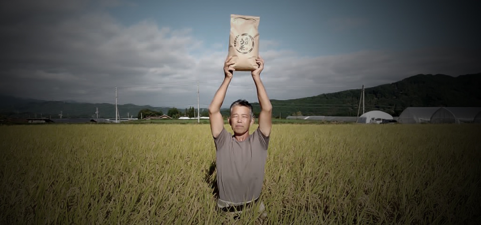 一面黄金色の田んぼで飛騨う米を両手で持ち上げる代表の画像